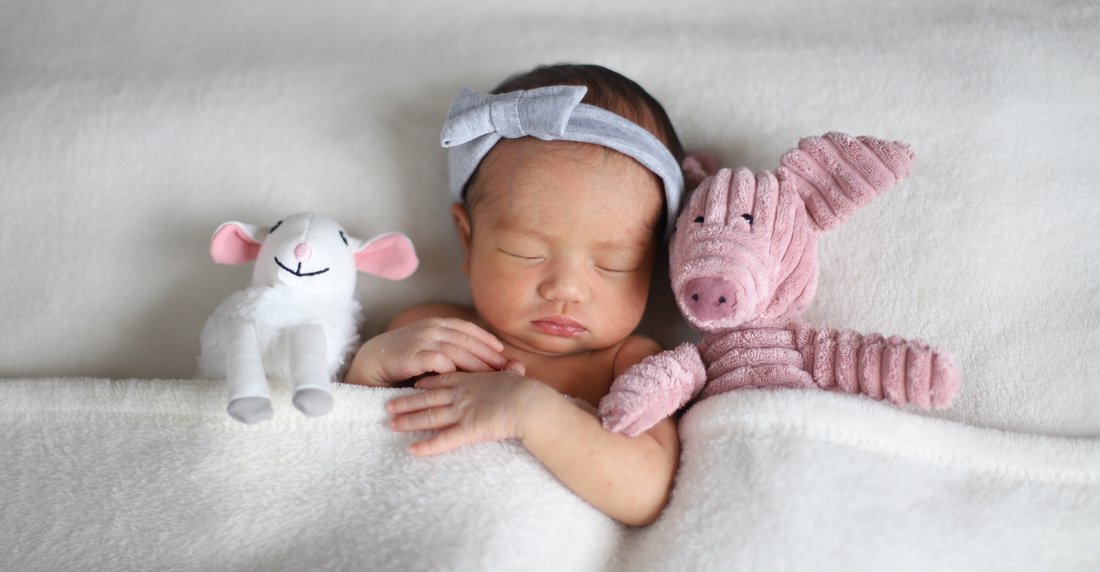 Home Petit Bebe Ph Home Petit Bebe Ph